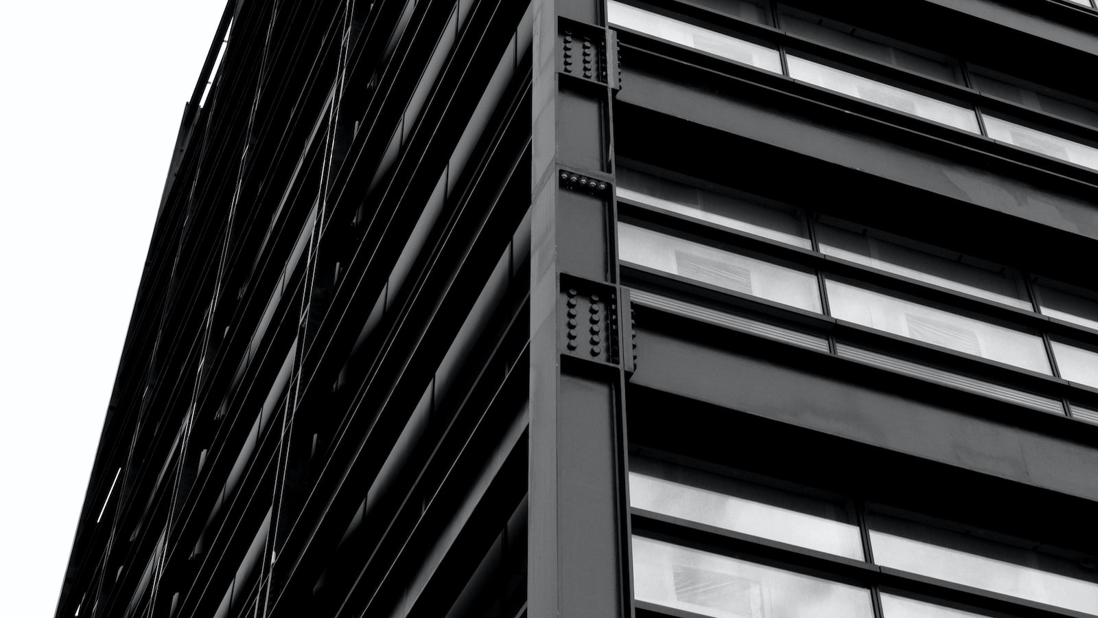 detail photograph